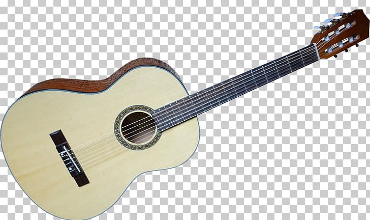 Resonator Guitar Acoustic Guitar Musical Instruments PNG, Clipart, Acoustic Electric Guitar, Classical Guitar, Country Music, Cuatro, Guitar Accessory Free PNG Download