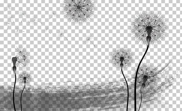 Dandelion PNG, Clipart, Black, Black And White, Color, Color Ink, Computer Wallpaper Free PNG Download
