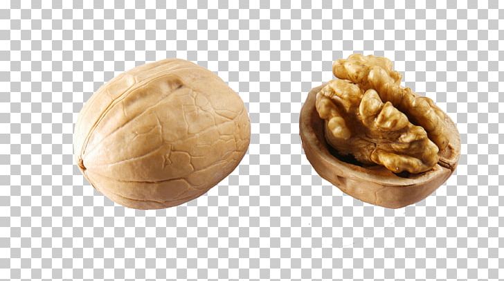 English Walnut Fenyang Meat PNG, Clipart, Chestnut, Chicken Meat, Duck Meat, English Walnut, Fenyang Free PNG Download
