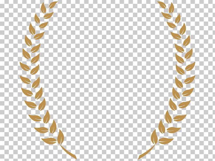 Laurel Wreath Video PNG, Clipart, Body Jewelry, Circle, Ganador, Hair Accessory, Headgear Free PNG Download