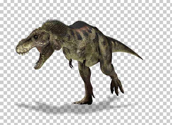 Tyrannosaurus Albertosaurus Triceratops Dinosaur Ornithomimus PNG, Clipart, Albertosaurus, Carnivore, Dinosaur, Extinction, Fantasy Free PNG Download