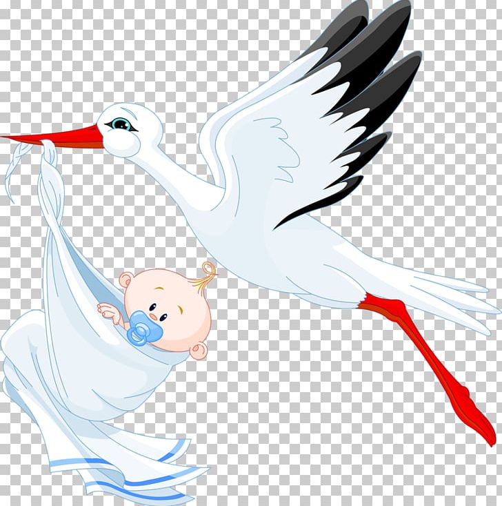 White Stork Infant PNG, Clipart, Adult Child, Art, Beak, Bird, Bird Cage Free PNG Download