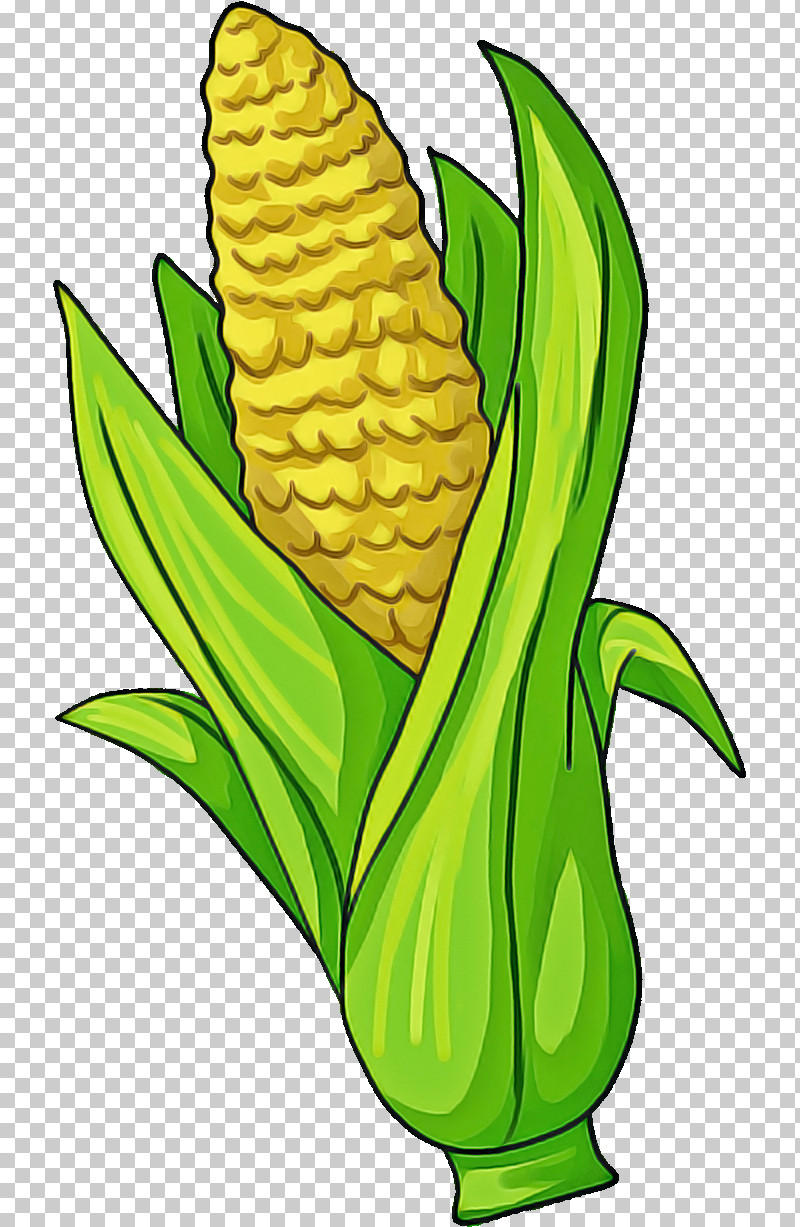 Pineapple PNG, Clipart, Ananas, Corn, Corn On The Cob, Flower, Pineapple Free PNG Download