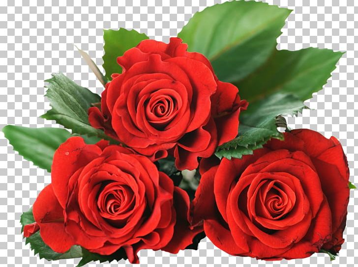Blue Rose Flower Stock Photography PNG, Clipart, Blue, Blue Rose, Cut Flowers, Desktop Wallpaper, Download Free PNG Download