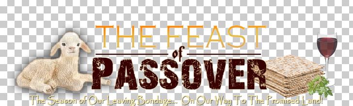Passover Sacrifice Festival 0 PNG, Clipart, 2017, Brand, Festival, Flavor, Food Free PNG Download