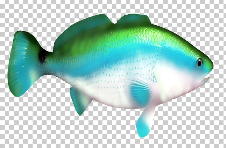 Shark Fish PNG, Clipart, Animals, Aqua, Aquatic, Blue, Blue Abstract Free PNG Download