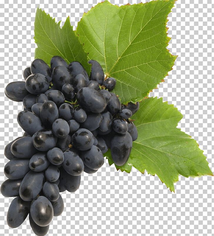 Common Grape Vine PNG, Clipart, Berry, Bilberry, Blueberry, Currant, Desktop Wallpaper Free PNG Download