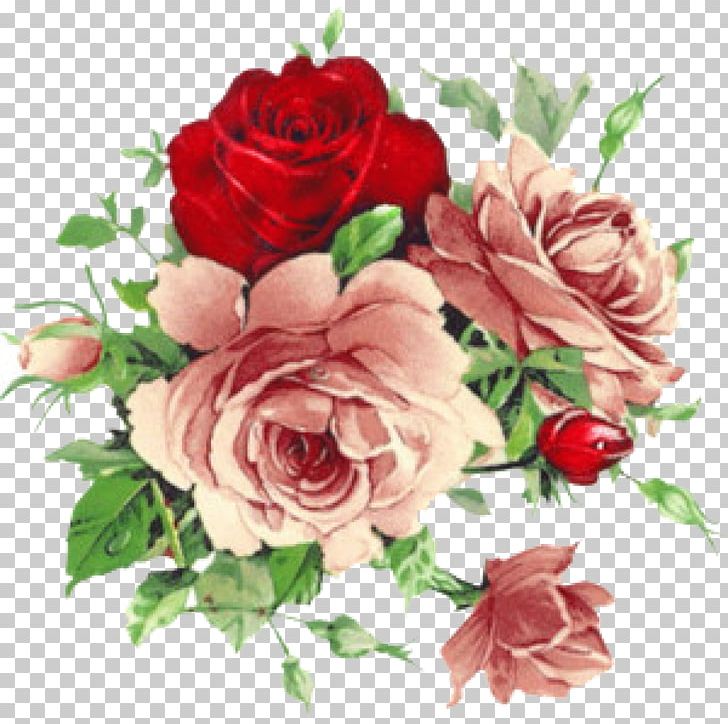 Vintage Roses: Beautiful Varieties For Home And Garden Flower PNG, Clipart, Artificial Flower, Banquet, Color, Cut Flowers, Floral Design Free PNG Download