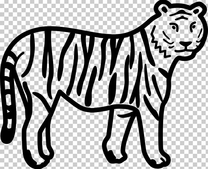white tiger line art