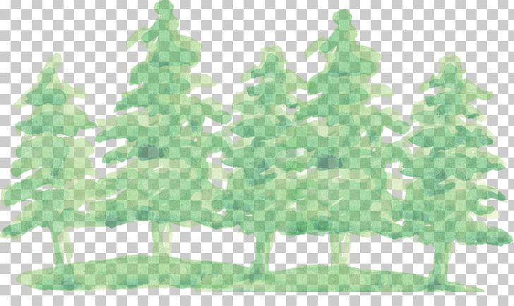 Woodfield Academy Watercolor Painting Graphics Portable Network Graphics PNG, Clipart, Art, Branch, Christmas Tree, Conifer, Drawing Free PNG Download