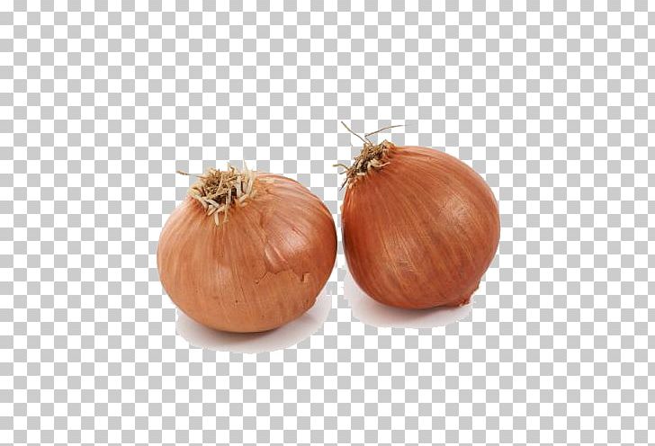 Yellow Onion Shallot Calabaza Vegetable PNG, Clipart, Adobe Illustrator, Cucurbita, Download, Encapsulated Postscript, Fruit And Vegetable Free PNG Download