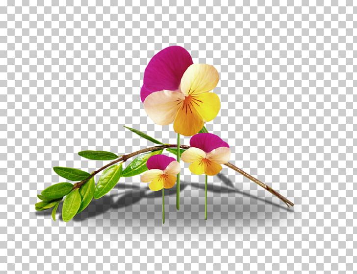 Cut Flowers Animation Floral Design PNG, Clipart, Animation, Bahar, Blog, Branch, Cut Flowers Free PNG Download