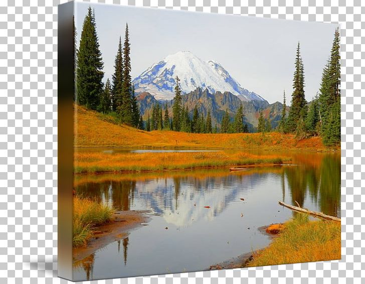 Tipsoo Lake Ecosystem Nature Reserve National Park PNG, Clipart, Biome, Ecosystem, Inlet, Lake, Landscape Free PNG Download