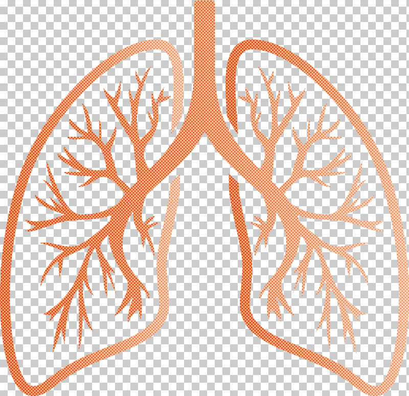 Lungs COVID Corona Virus Disease PNG, Clipart, Corona Virus Disease, Covid, Leaf, Lungs, Orange Free PNG Download