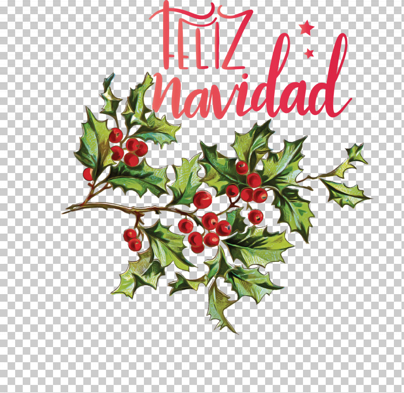 Feliz Navidad Merry Christmas PNG, Clipart, Aquifoliales, Christmas Day, Christmas Ornament, Christmas Ornament M, Cut Flowers Free PNG Download
