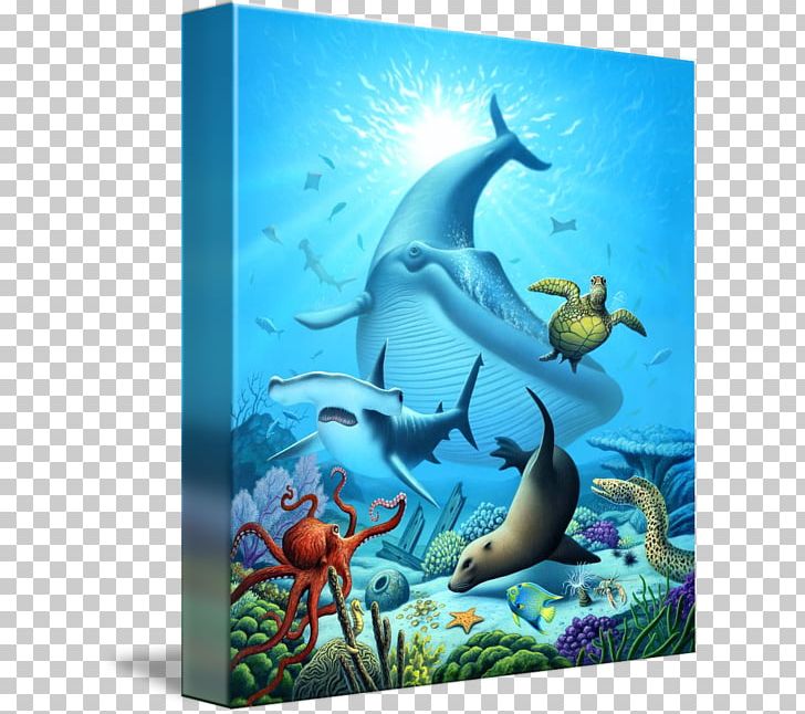 Marine Life Ocean Deep Sea Painting PNG, Clipart, Animal, Aqua, Deep Sea, Deep Sea Creature, Dolphin Free PNG Download