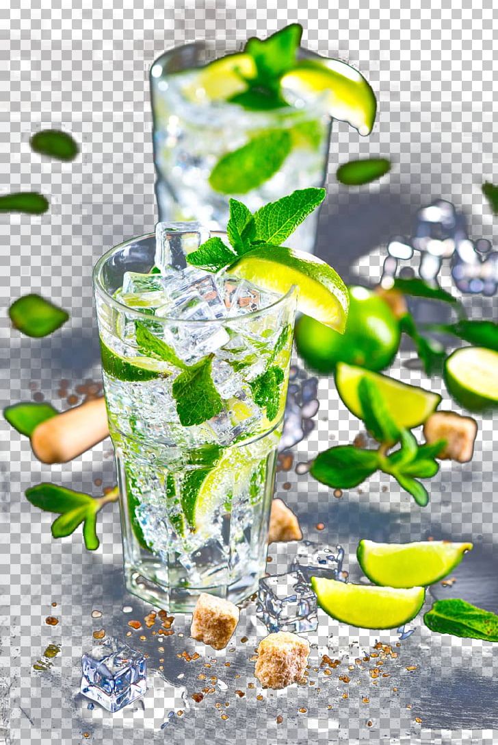 Mojito Cocktail Garnish Gin And Tonic Vodka Tonic PNG, Clipart, Cocktail, Cocktail Garnish, Cocktail Glass, Cocktail Lemon Ice Cubes, Fruit Nut Free PNG Download