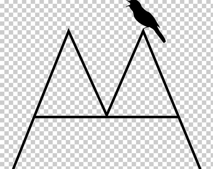 Triangle White Beak PNG, Clipart, Angle, Area, Art, Asian Cinesquare Multiplex, Beak Free PNG Download
