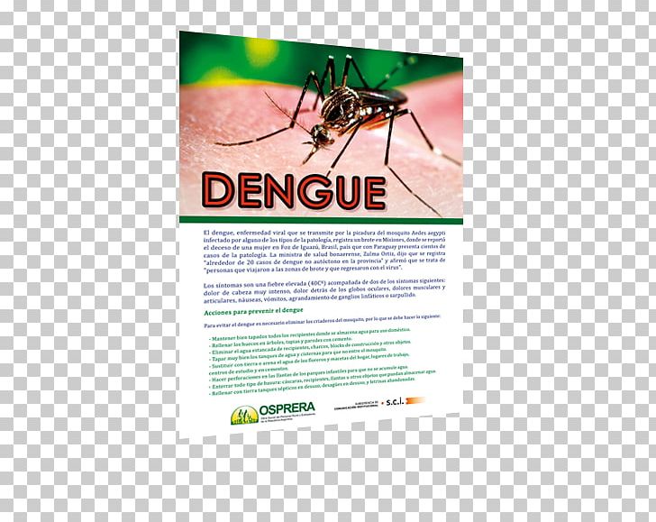 Yellow Fever Mosquito Graphic Design Insect PNG, Clipart, Advertising, Aedes, Animals, Arthropod, Brand Free PNG Download