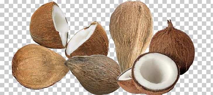 Coconut Copra Areca Nut PNG, Clipart, Areca Nut, Coconut, Coconut Oil, Copra, Ingredient Free PNG Download
