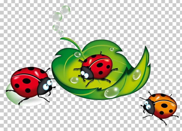 Ladybird Blog Beetle PNG, Clipart, Animals, Bubble, Bug, Cartoon, Cartoon Animals Free PNG Download