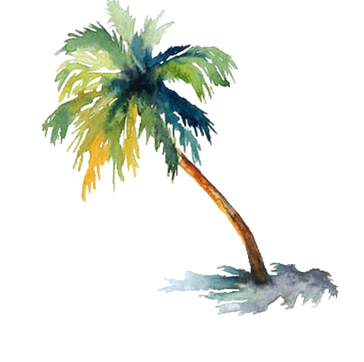 Watercolor Painting Arecaceae Drawing Tree PNG, Clipart, Arecaceae, Arecales, Art, Borassus Flabellifer, Botanical Illustration Free PNG Download