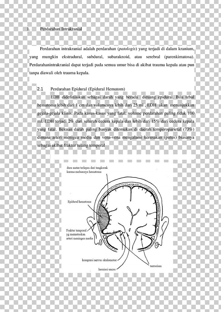 Ear Document Sketch PNG, Clipart, Angle, Animal, Area, Black And White, Circle Free PNG Download