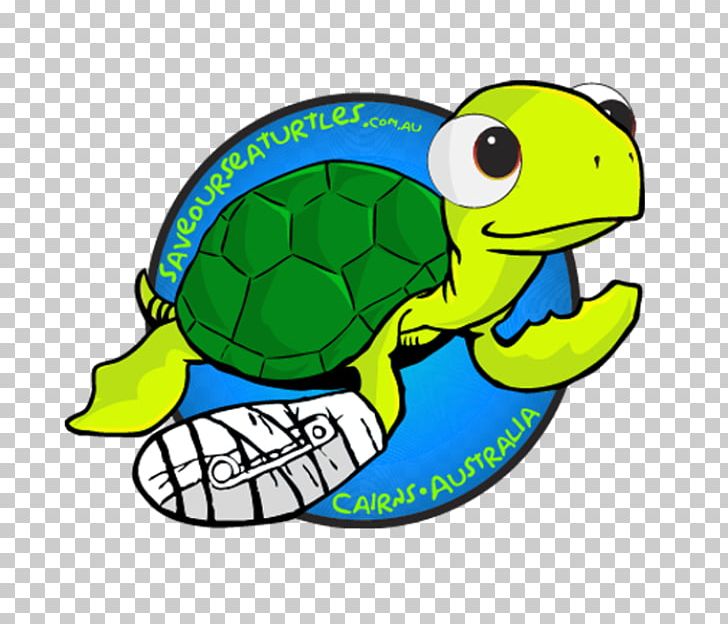 Great Barrier Reef Cairns Sea Turtle Conservancy Reptile PNG, Clipart, Animal, Animal Figure, Animals, Area, Artwork Free PNG Download