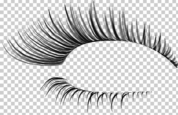 Eyelash Extensions Cosmetics Artificial Hair Integrations PNG, Clipart, Artificial Hair Integrations, Beauty, Black And White, Brush, Cil Free PNG Download