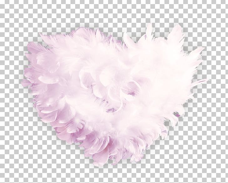 Fur Feather Petal Pink PNG, Clipart, Animals, Feather, Feathers, Feather Vector, Fur Free PNG Download