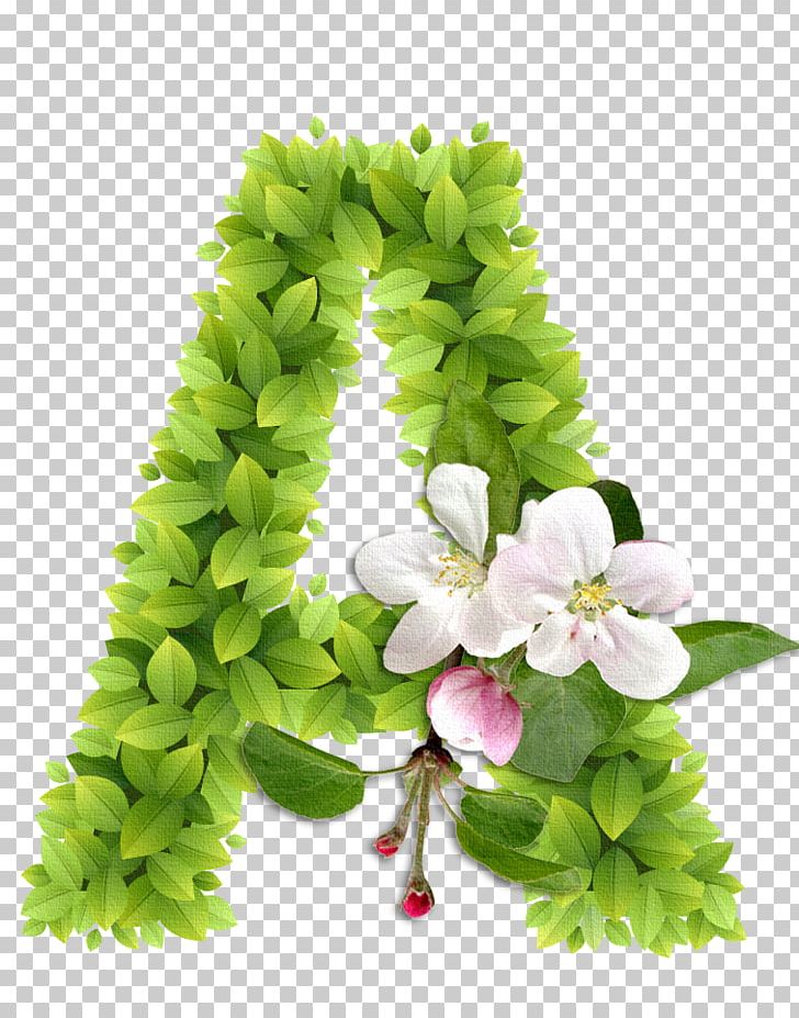 Letter Alphabet Flower Ch PNG, Clipart, Alphabet, Cut Flowers, Elements, Floral Design, Floristry Free PNG Download