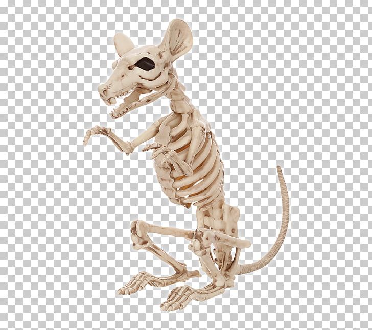 Rat Human Skeleton Rodent Bone PNG, Clipart, Animal, Animal Bones, Animal Figure, Bone, Bones Free PNG Download