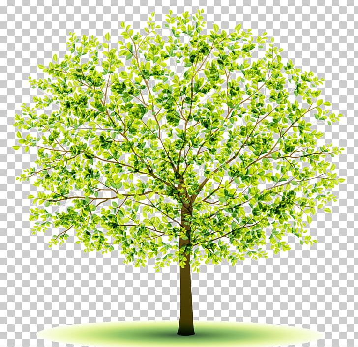 Tree PNG, Clipart, Art, Branch, Creativity, Encapsulated Postscript, Grass Free PNG Download
