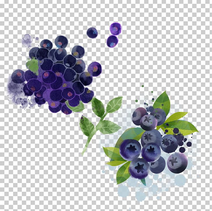 Bilberry Blueberry Pie Fruit PNG, Clipart, Auglis, Berry, Bilberry, Blue, Blueberry Free PNG Download