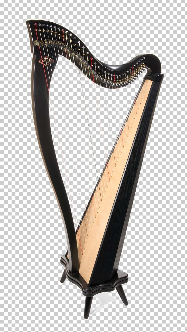 Pedal Harp Atlanta Scholars Kollel String Instruments PNG, Clipart, Appalachian Dulcimer, Boulevard, Celtic Harp, Clarsach, Classical Guitar Free PNG Download