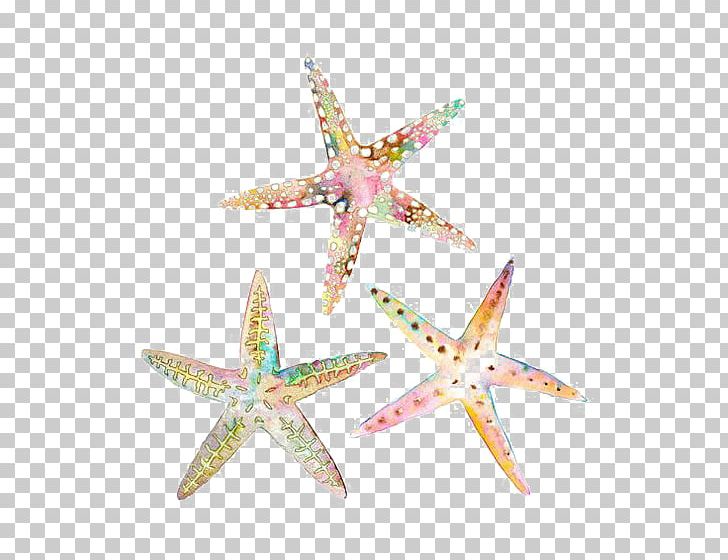 Watercolor Painting Drawing Starfish Illustration PNG, Clipart, Animals, Art, Artist, Beautiful Starfish, Cartoon Free PNG Download