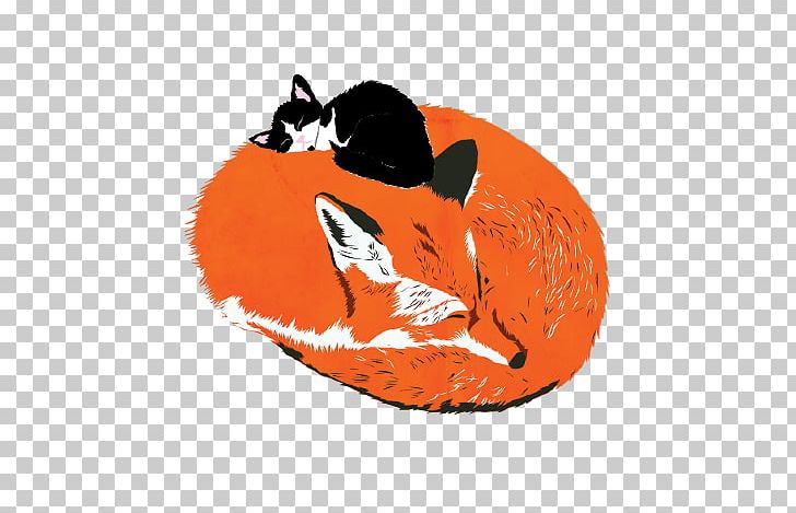 Whiskers Illustration Snout Fox News PNG, Clipart, Carnivoran, Cat, Dog Like Mammal, Fire, Fox Free PNG Download