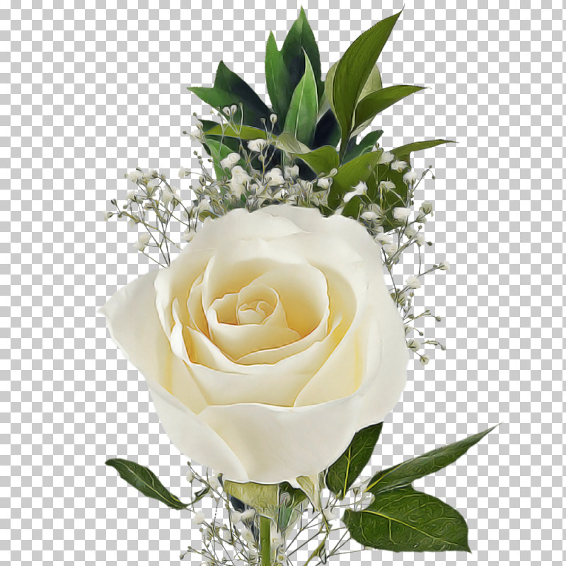 Garden Roses PNG, Clipart, Cut Flowers, Floral Design, Floribunda, Floristry, Flower Free PNG Download