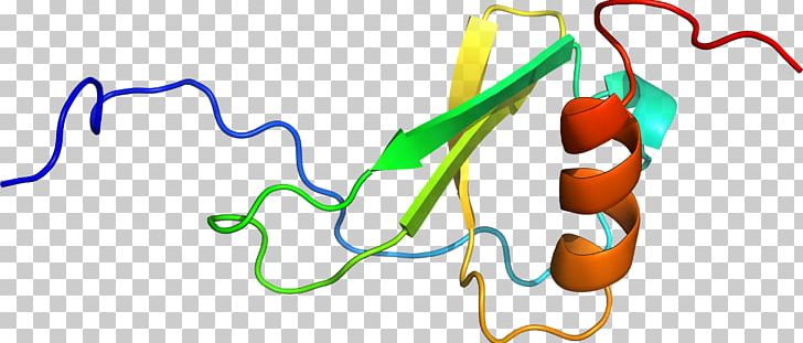 Organism Line PNG, Clipart, Art, D 9, Dona, Don A, Line Free PNG Download