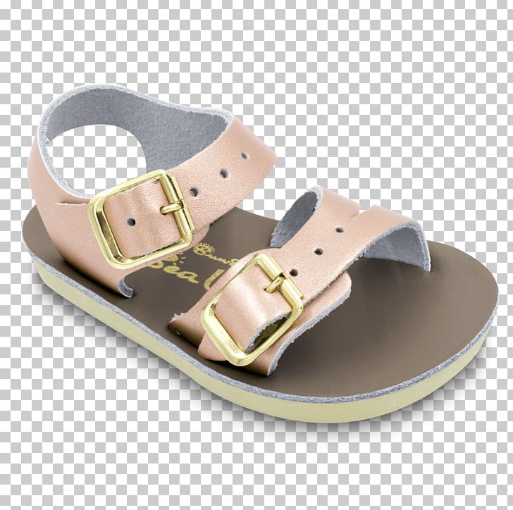Saltwater Sandals Shoe Buckle Sea PNG, Clipart,  Free PNG Download
