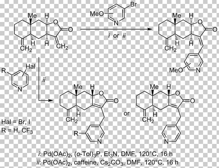 Sesquiterpene Lactone Chemical Synthesis Chemistry PNG, Clipart, Angle, Area, Auto Part, Black And White, Chemical Compound Free PNG Download
