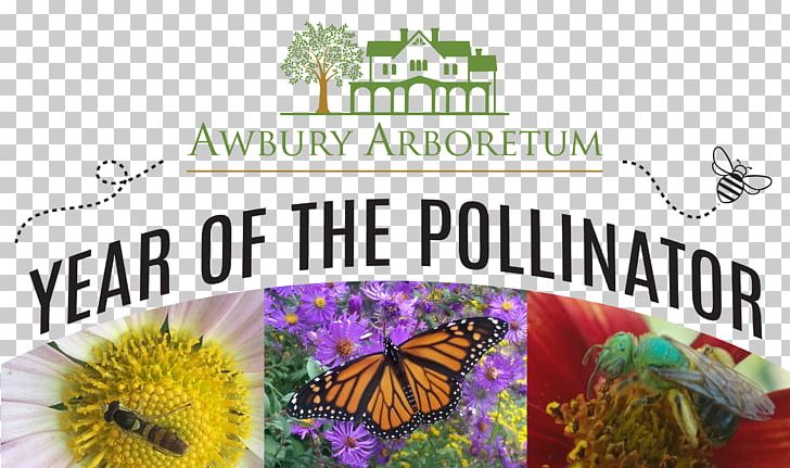 Brush-footed Butterflies Awbury Arboretum Insect Butterfly Pollinator PNG, Clipart, Anemophily, Animals, Arboretum, Bee, Brush Footed Butterfly Free PNG Download