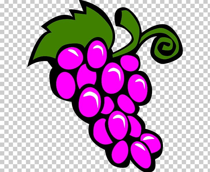 Common Grape Vine Wine Chardonnay PNG, Clipart, Animated Fruit Pictures, Artwork, Blog, Chardonnay, Circle Free PNG Download