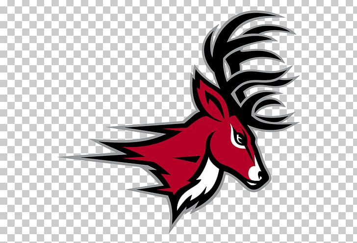 Fairfield University Fairfield Stags Men's Basketball Fairfield Stags Baseball Fairfield Stags Women's Basketball Division I (NCAA) PNG, Clipart,  Free PNG Download