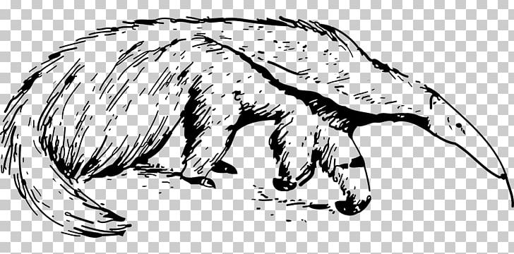 Giant Anteater PNG, Clipart, Animal, Animal Figure, Ant, Ant Colony, Anteater Free PNG Download