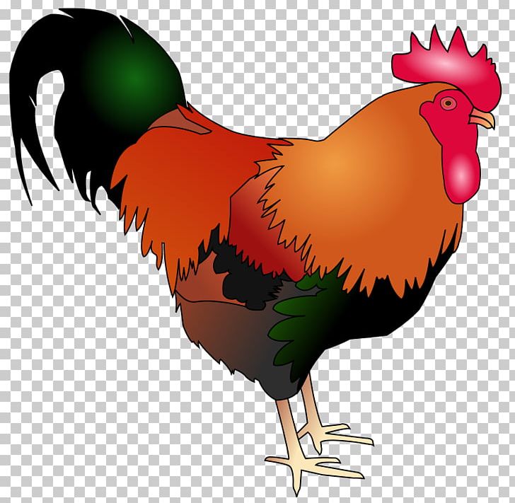 Rooster Welsummer Poultry Animal PNG, Clipart, Animal, Bald Eagle, Beak, Big Cock, Bird Free PNG Download