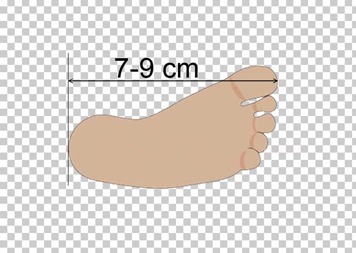 Thumb Shoe Toe Finger PNG, Clipart, Arm, Finger, Foot, Hand, Human Body Free PNG Download