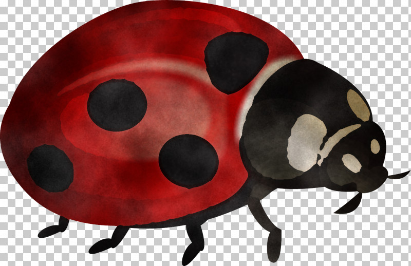 Ladybug PNG, Clipart, Beetle, Insect, Ladybug, Pest, Snout Free PNG Download