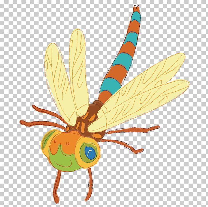 Dragonfly Insect PNG, Clipart, Arthropod, Bee, Cartoon, Cute, Cute Animal Free PNG Download