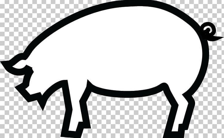 Pig Pre-clinical Development Clinical Trial Animal PNG, Clipart, Animal, Animals, Animal Testing, Area, Artwork Free PNG Download
